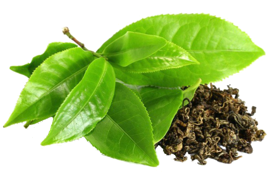 Best Tea Franchise In India