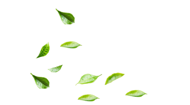 Decorative Tea Leaf Left