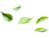 Decorative Tea Leaf Right